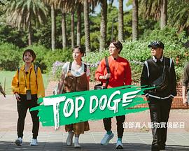 黑料正能量《TOP DOG》免费在线观看