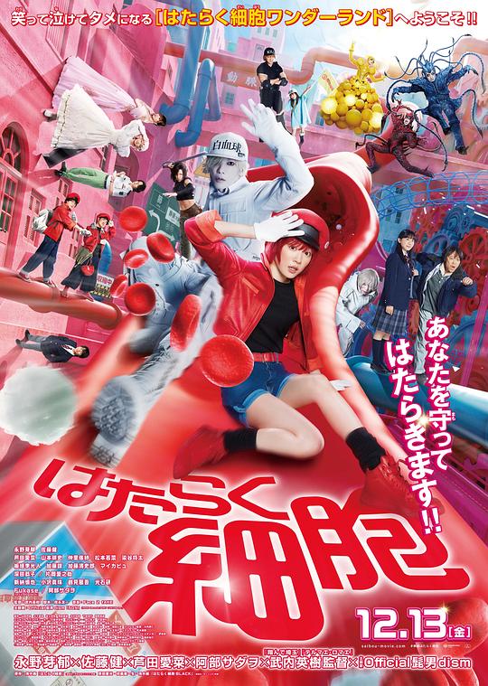 黑料新闻《工作细胞 真人版 はたらく細胞》免费在线观看