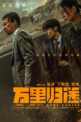 黑料正能量《万里归途》免费在线观看