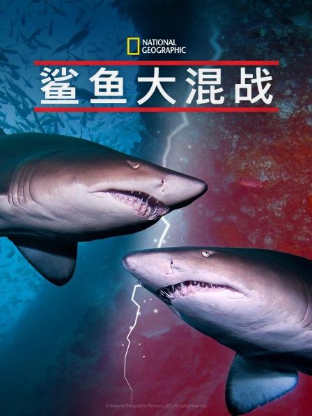 黑料正能量《鲨鱼大混战》免费在线观看