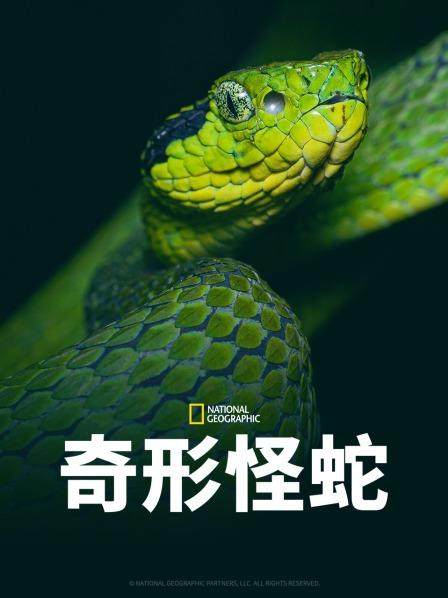 黑料海角91入口《奇形怪蛇》免费在线观看